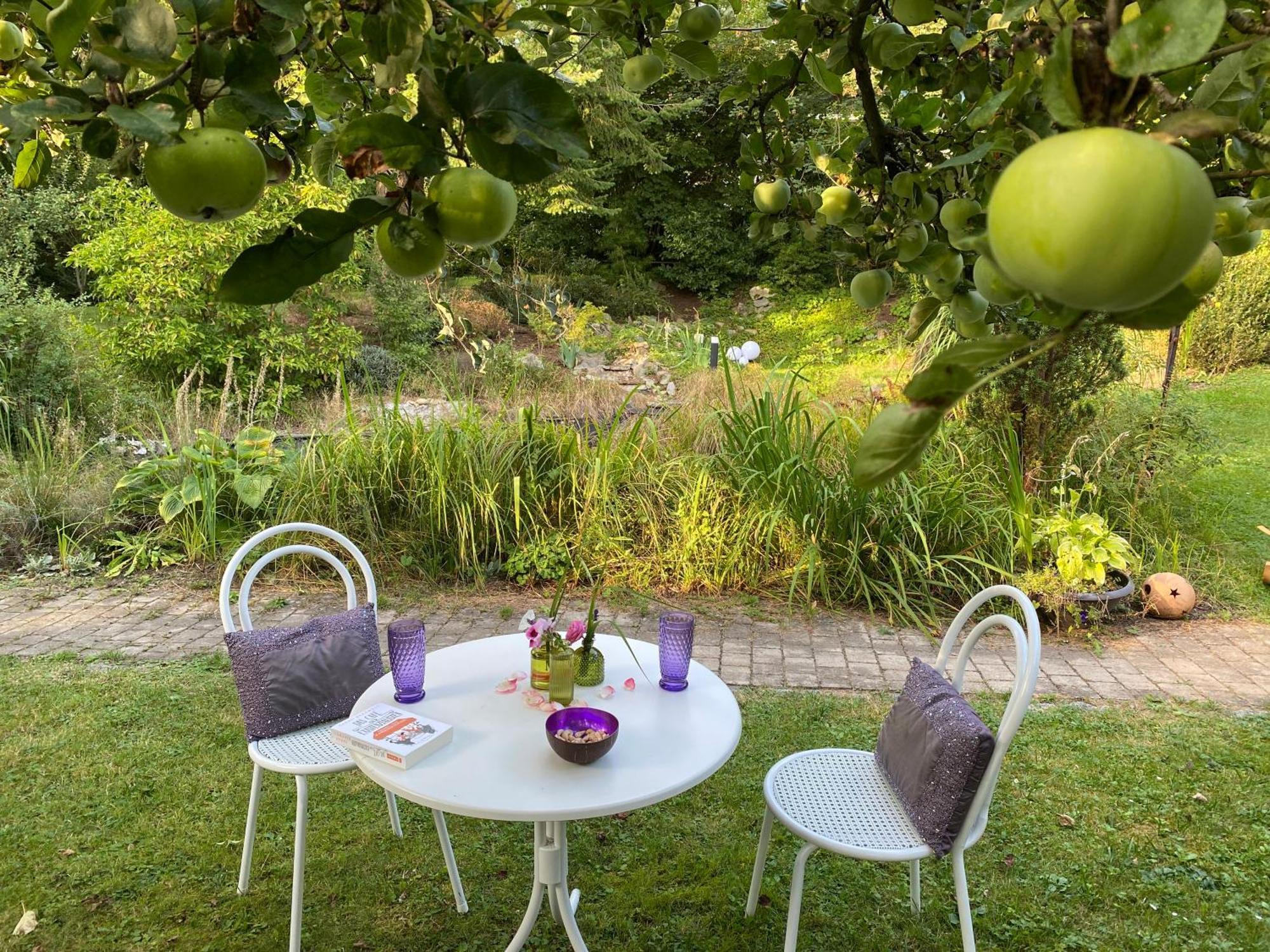 פורת אים וואלד Ferienwohnung In Historischer Villa Mit Gartennutzung מראה חיצוני תמונה